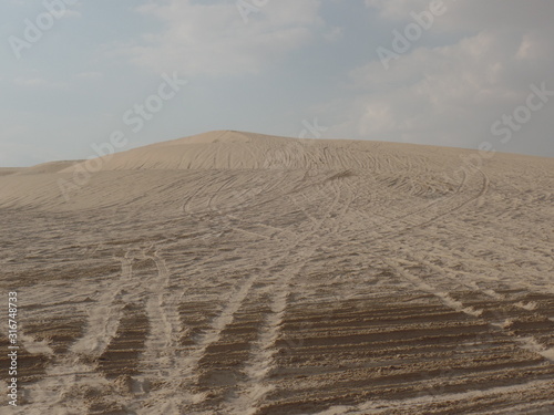 Tyre tracks in the desert