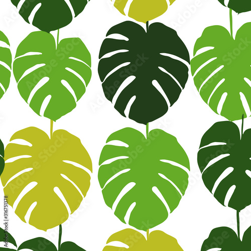 Set of tropic leaves isolated for card, template and cover design.   Philodendron leaf in different size and colors. Vector illustration of monstera.