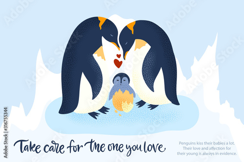 Happy valentine day vector textured animal card in a flat style with quote and real facts about love. Romantic illustration. Penguin family take care of a baby.