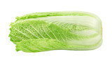 Whole head of napa cabbage also known as chinese cabbage standing upright on a white background