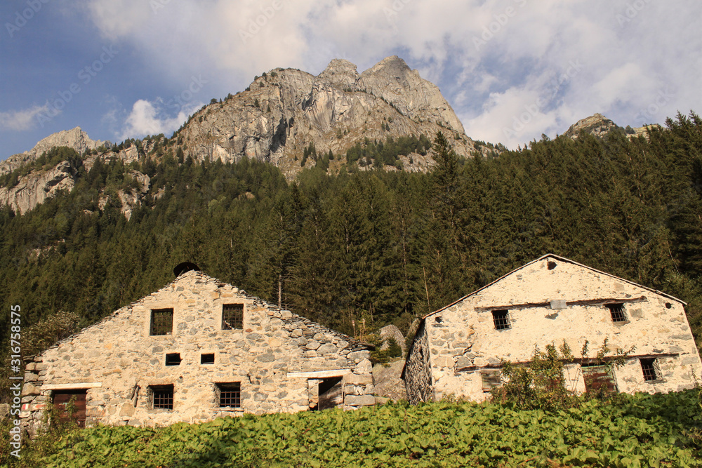 Im Valle Porcellizzo (Corte Veccia) / Blick zur Cima Scingino (Bernina-Alpen)