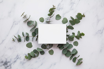 Blank white invitation stationery card with eucalyptus leaves.