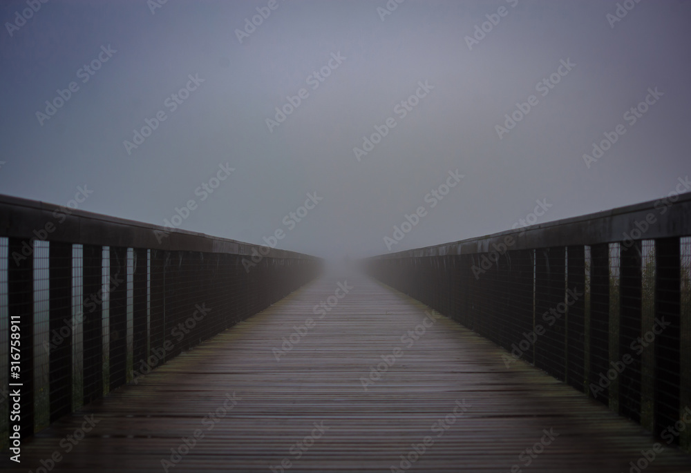 Fototapeta premium Nevoeiro na ponte