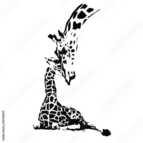 Mom & baby animals wild giraffe. Vector illustration on a transparent background.