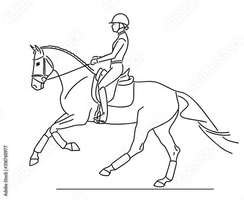 Rider and horses demonstrate big canter