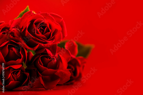 Valentine Card - Red Roses In Scarlet Romantic Background