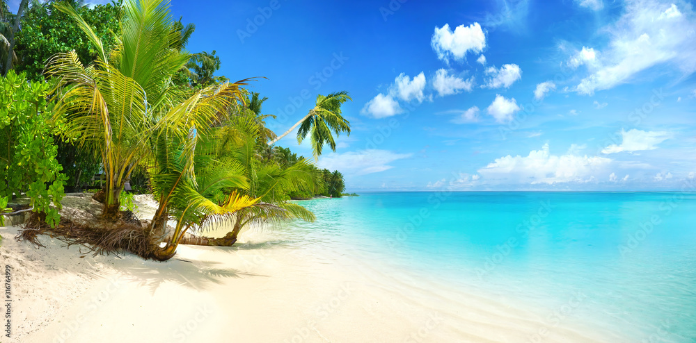 Beautiful beach with white sand, turquoise ocean, blue sky with clouds and palm tree over the water on a Sunny day. Maldives, perfect tropical landscape, wide format. - obrazy, fototapety, plakaty 