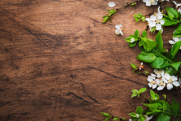 Spring blooming branches on wooden background. White Cherry blossoms top view, copy space