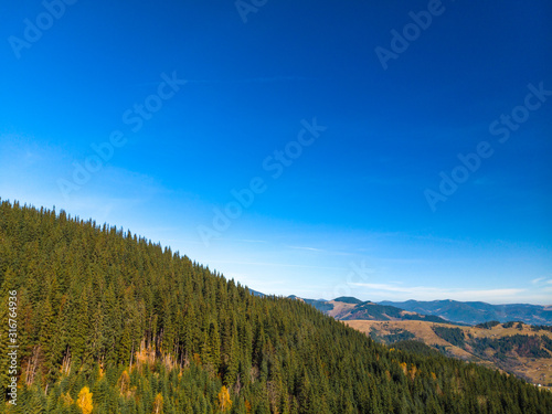 Aerial view of the beautiful autumn forest at sunset, green pine trees. Colorful landscape with mountains and hills, natural forest reserve, national park