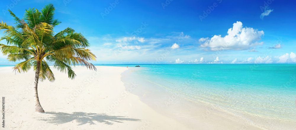 Fototapeta Beautiful palm tree on tropical island beach on background  blue sky with white clouds and turquoise ocean on sunny day. Perfect natural landscape for summer vacation, ultra wide format.