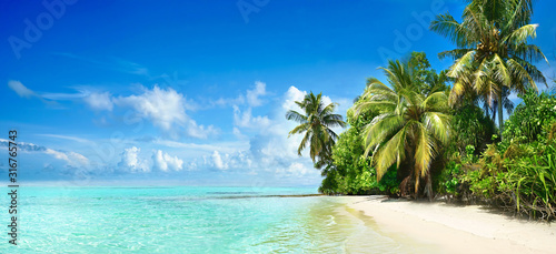 Beautiful tropical beach with white sand, palm trees, turquoise ocean against blue sky with clouds on sunny summer day. Perfect landscape background for relaxing vacation, island of Maldives.