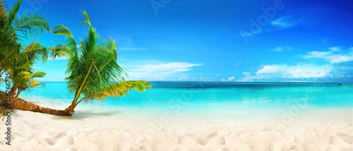 Fototapeta Naklejka Na Ścianę i Meble -  Beautiful beach with white sand, turquoise ocean, blue sky with clouds and palm tree over the water on a Sunny day. Maldives, perfect tropical landscape, ultra wide format.