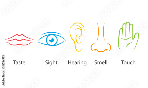 5 sense colorful icon set. Clipart image isolated on white background