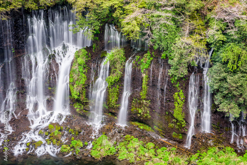 Shiraito Falls  Fujinomiya  Japan