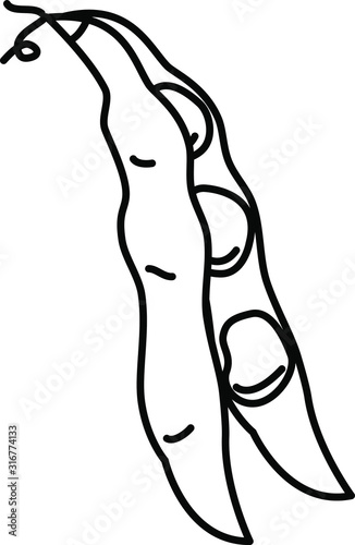 broad bean icon