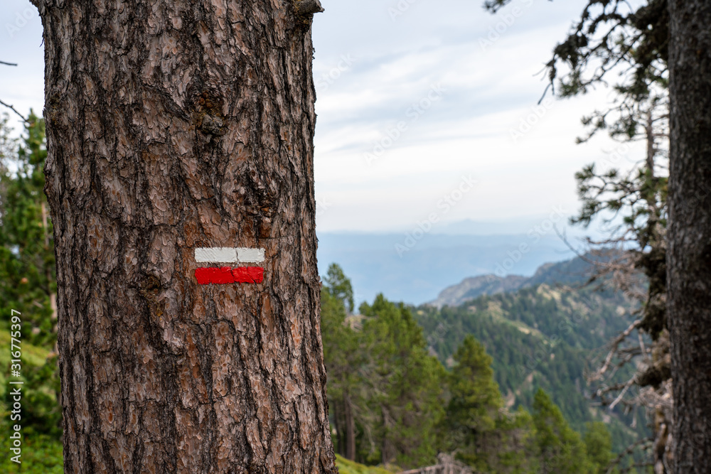 Fototapeta premium Sentier