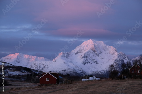 Beautiful typical norwegian red house located in Lofoten Islands close to Leknes  town. Amazing mountains during a pink sunset in the background  © Jiri