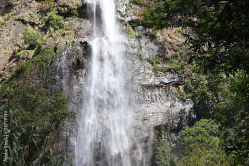 waterfall in forest