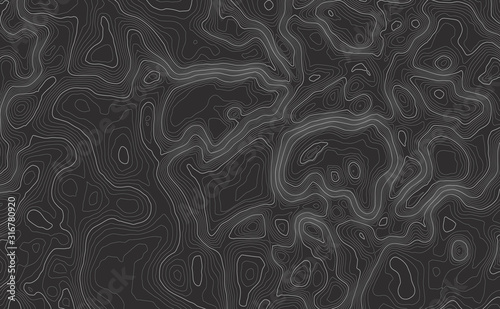 Background of the topographic map. Topographic map lines, contour background. Geographic abstract grid. EPS 10 vector illustration.
