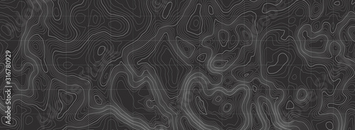 Background of the topographic map. Topographic map lines, contour background. Geographic abstract grid. EPS 10 vector illustration. photo