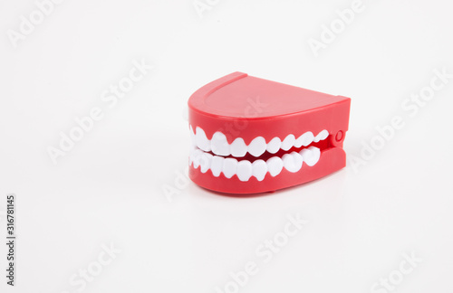 Artificial dentures over white background