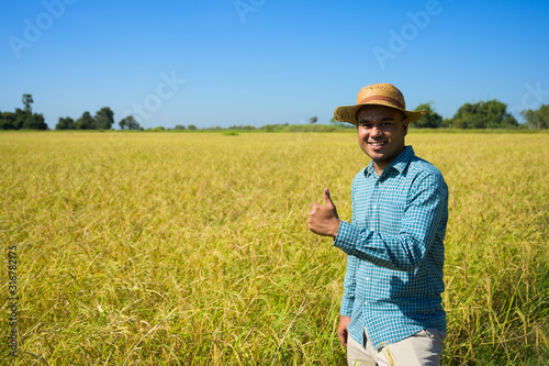 Young asian farmer and paddy field with thumb up.