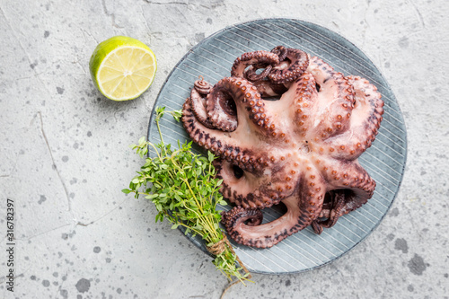 Boiled octopus ready for serve with lemon and thyme on plate over gray background, top view photo