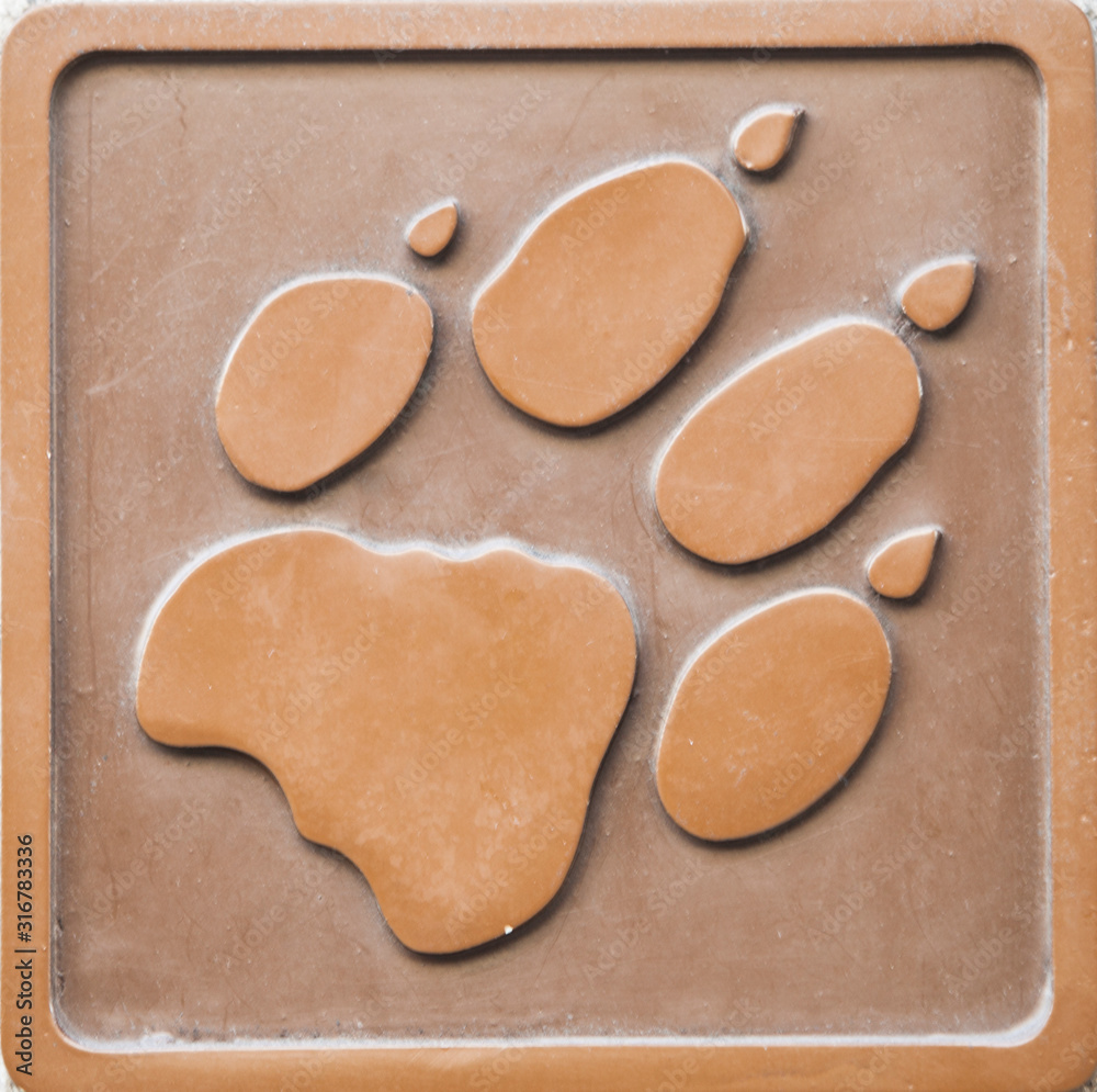 Engraving of lion footprint