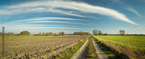Panorama with a dirt road and fields in Nowiny, eastern Poland, view in sunny day © darekb22
