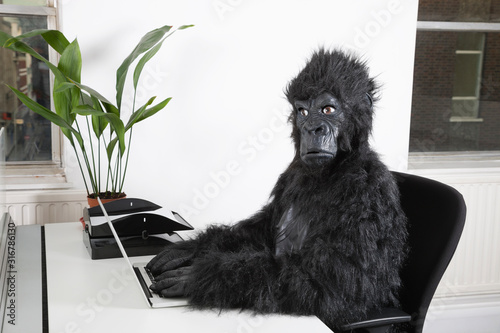 Foto Side view of young man in gorilla costume using laptop at office