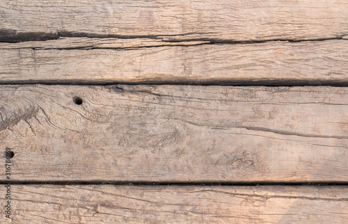 old wood background,texture of bark wood