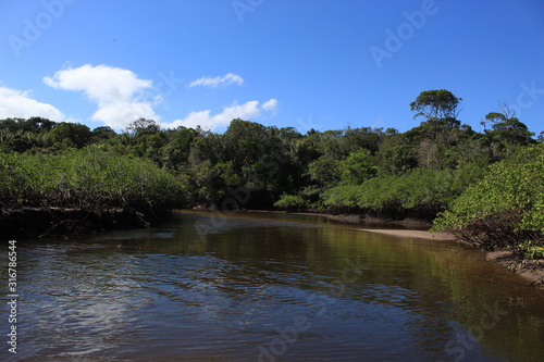 lake in forest © Victor