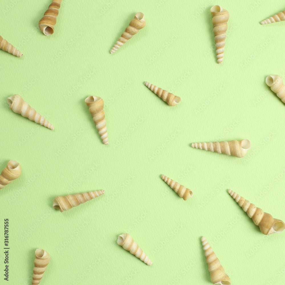 Fototapeta premium Marine decoration conch seashells on green background