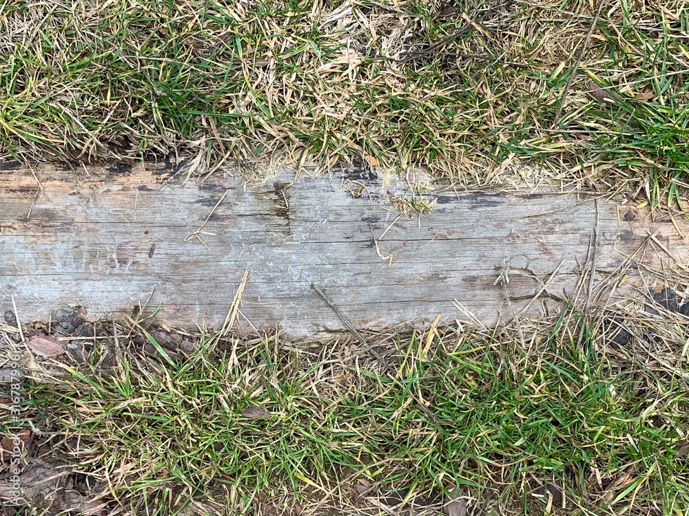 Background texture: Old board on green grass. Overgrown path, a board in the ground. Background texture: Old board on green grass. Overgrown path, a board in the ground.