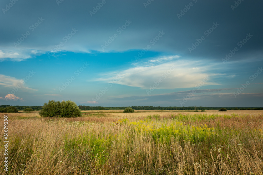 Fabulous clouds over a wild meadow, July weather in Poland