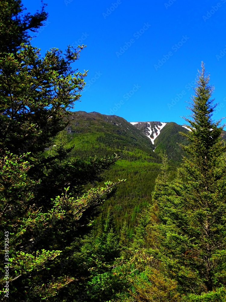 North America, Canada, Province of Quebec, Gaspésie National Park, Chic-Chocs Mountains, La Lucarne Trail in the Mont-Albert area