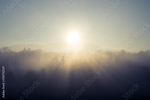 Sonnenschein über Baumwipfel im dichten Nebel