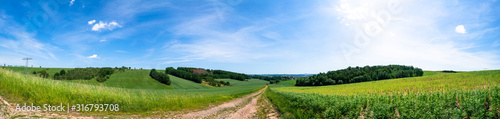 Rural road and field , spring fresh green grass and blue sky, panoramic landscape © luchschenF