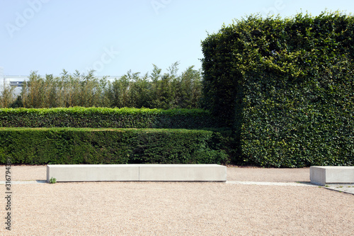 British Wall with Hedges