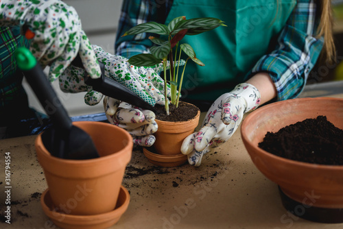 Mother and daughter repotting plants together at home garden. Spring gardening.