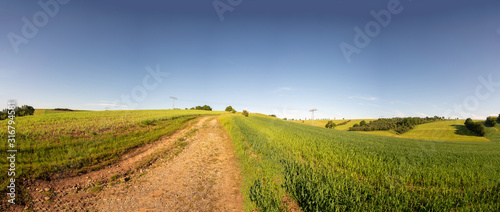 Country road through the fields