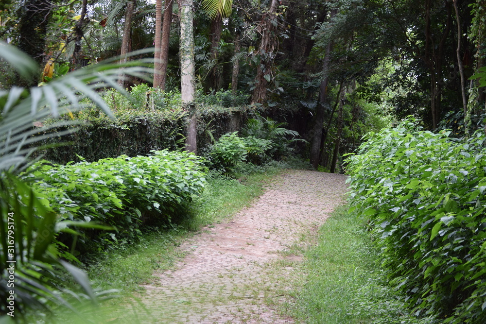 Obraz premium Hope Road