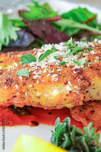 Herbed parmesan chicken on a bed of sauce with flavorful oregano and freshly grated parmesan cheese photo