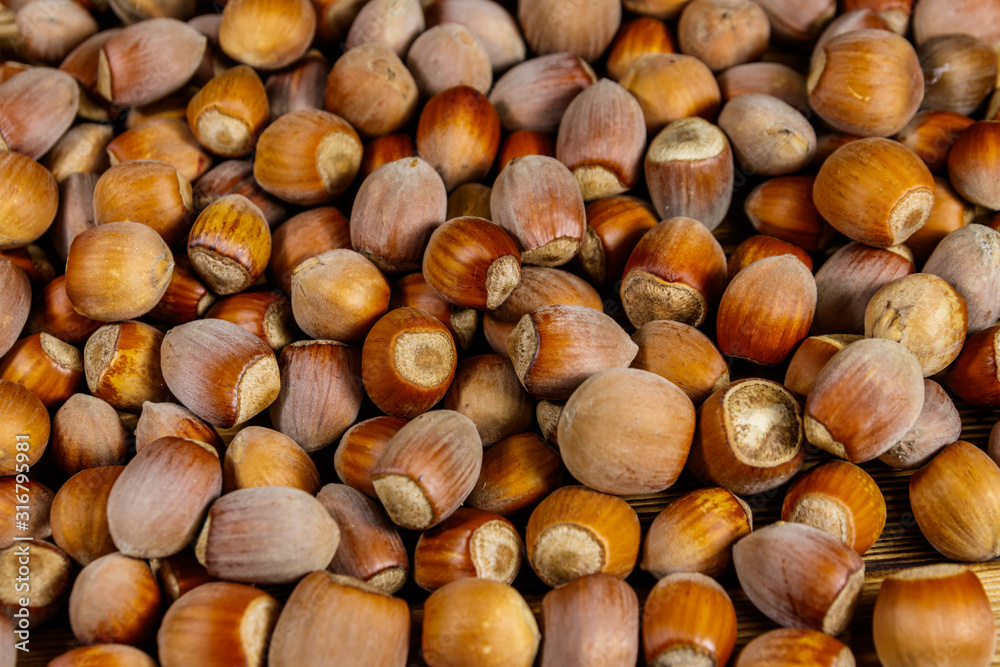 Food background of the whole hazelnuts Food background of the whole hazelnuts