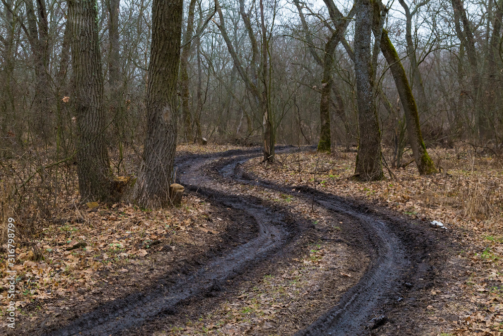 Winding dirty road in the nude oak forest Winding dirty road in the nude oak forest