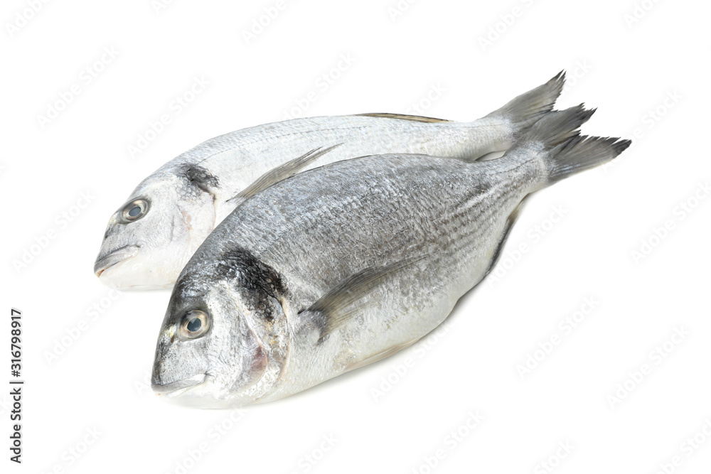 Fresh Dorado fishes isolated on white background Fresh Dorado fishes isolated on white background