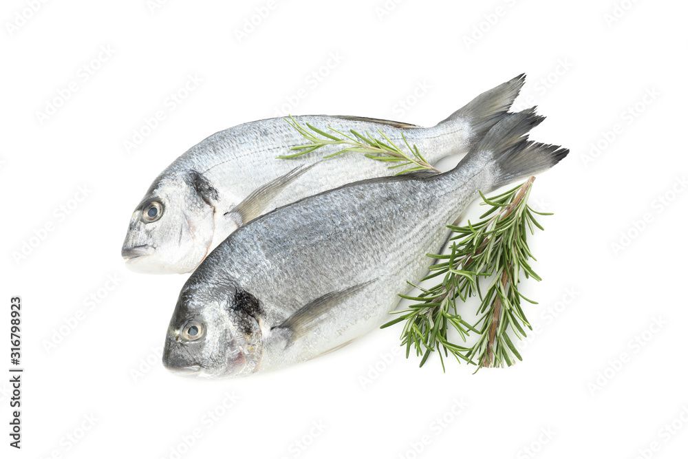 Fresh Dorado fishes and rosemary isolated on white background Fresh Dorado fishes and rosemary isolated on white background