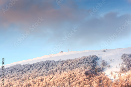 Refuge, Wooden Shelter Hut 