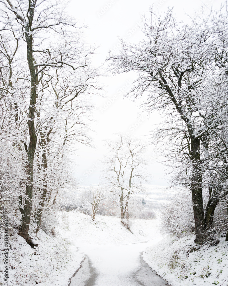 Trees and country road covered with snow in winter Trees and country road covered with snow in winter