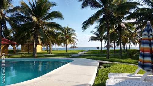 beach pool sea palms grass